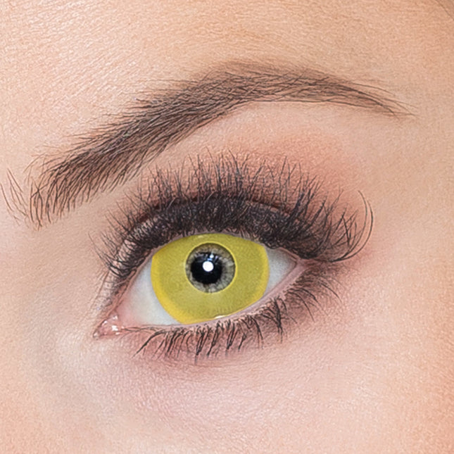 Lentilles de couleur Jaune corbeau