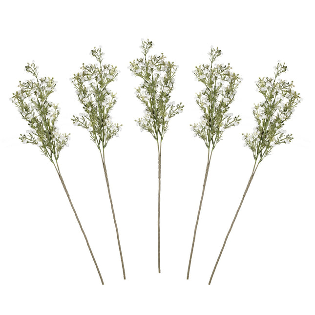 Fleurs sèches Gypsophilia Tiges 40cm 5pcs