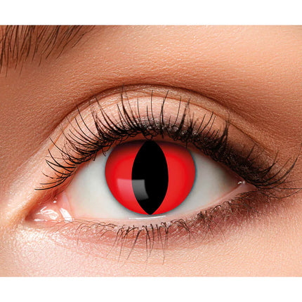 Lentilles de couleur rouge Chat