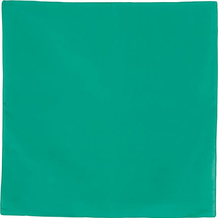 Groene Bandana 54cm - Partywinkel - 8434077270370